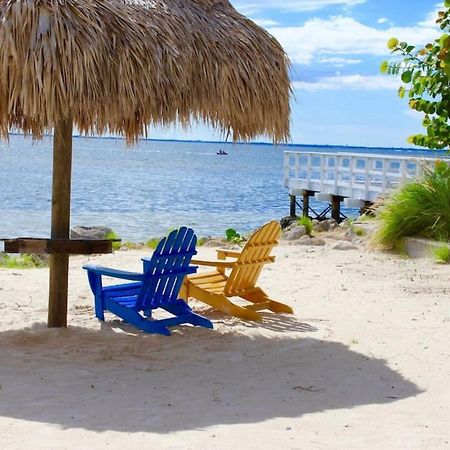 Sunset Paradise - Find Yourself In Tampa Ngoại thất bức ảnh