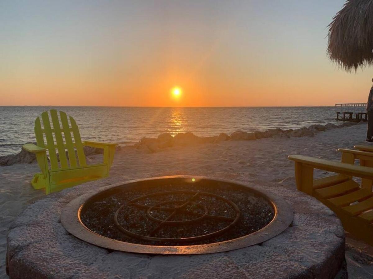 Sunset Paradise - Find Yourself In Tampa Ngoại thất bức ảnh