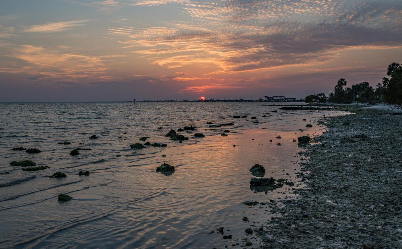 Sunset Paradise - Find Yourself In Tampa Ngoại thất bức ảnh
