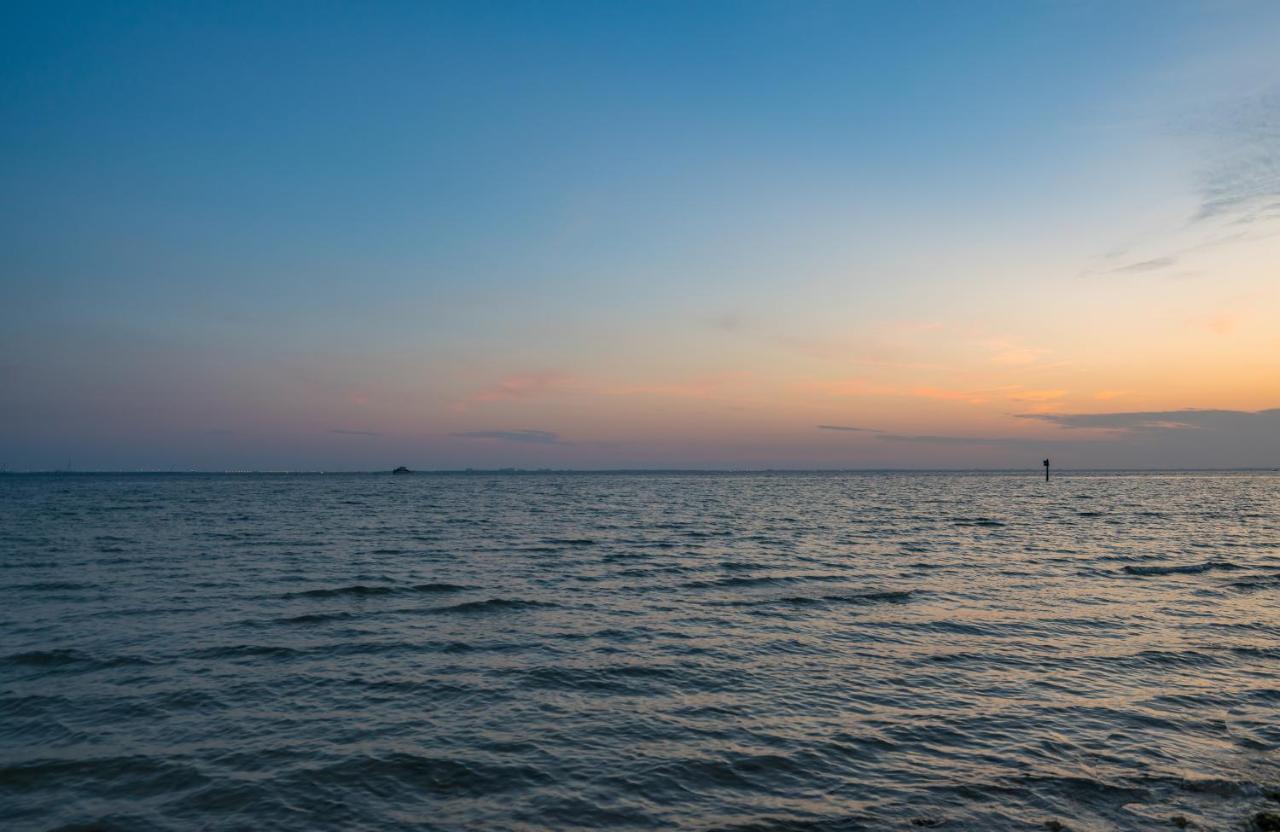 Sunset Paradise - Find Yourself In Tampa Ngoại thất bức ảnh